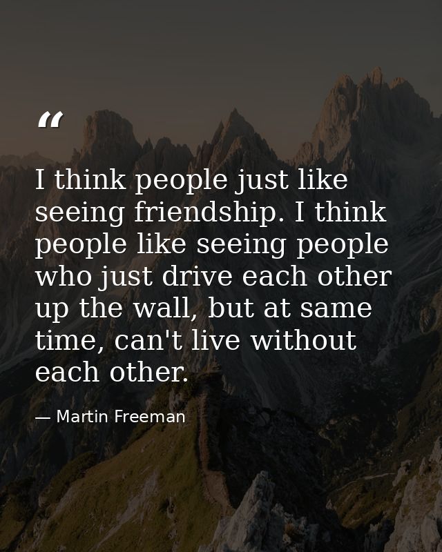 I think people just like seeing friendship. I think people like seeing people who just drive each other up the wall, but — Martin Freeman