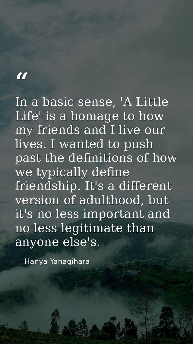 In a basic sense, 'A Little Life' is a homage to how my friends and I live our lives. I wanted to push past the definiti — Hanya Yanagihara