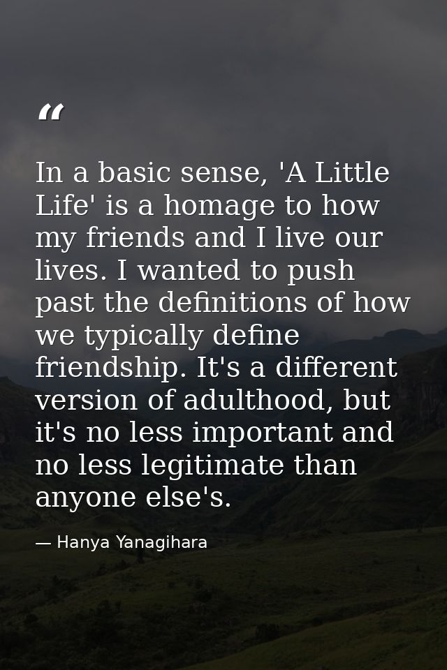In a basic sense, 'A Little Life' is a homage to how my friends and I live our lives. I wanted to push past the definiti — Hanya Yanagihara