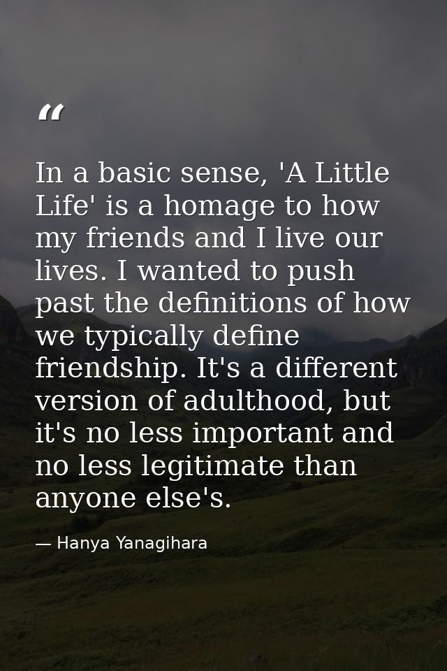 In a basic sense, 'A Little Life' is a homage to how my friends and I live our lives. I wanted to push past the definiti — Hanya Yanagihara