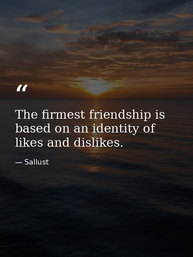 The firmest friendship is based on an identity of likes and dislikes. — Sallust