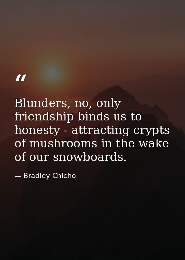 Blunders, no, only friendship binds us to honesty - attracting crypts of mushrooms in the wake of our snowboards. — Bradley Chicho