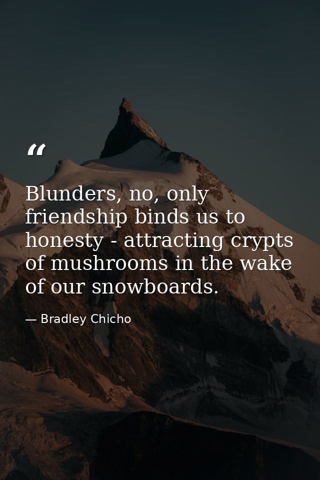 Blunders, no, only friendship binds us to honesty - attracting crypts of mushrooms in the wake of our snowboards. — Bradley Chicho