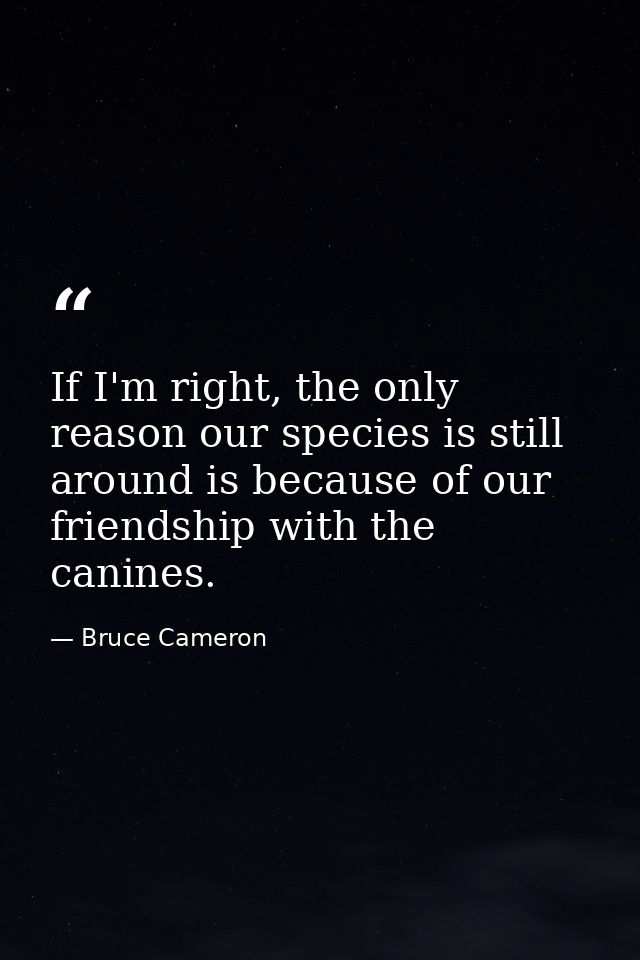 If I'm right, the only reason our species is still around is because of our friendship with the canines. — Bruce Cameron