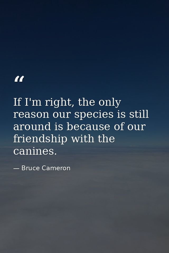 If I'm right, the only reason our species is still around is because of our friendship with the canines. — Bruce Cameron