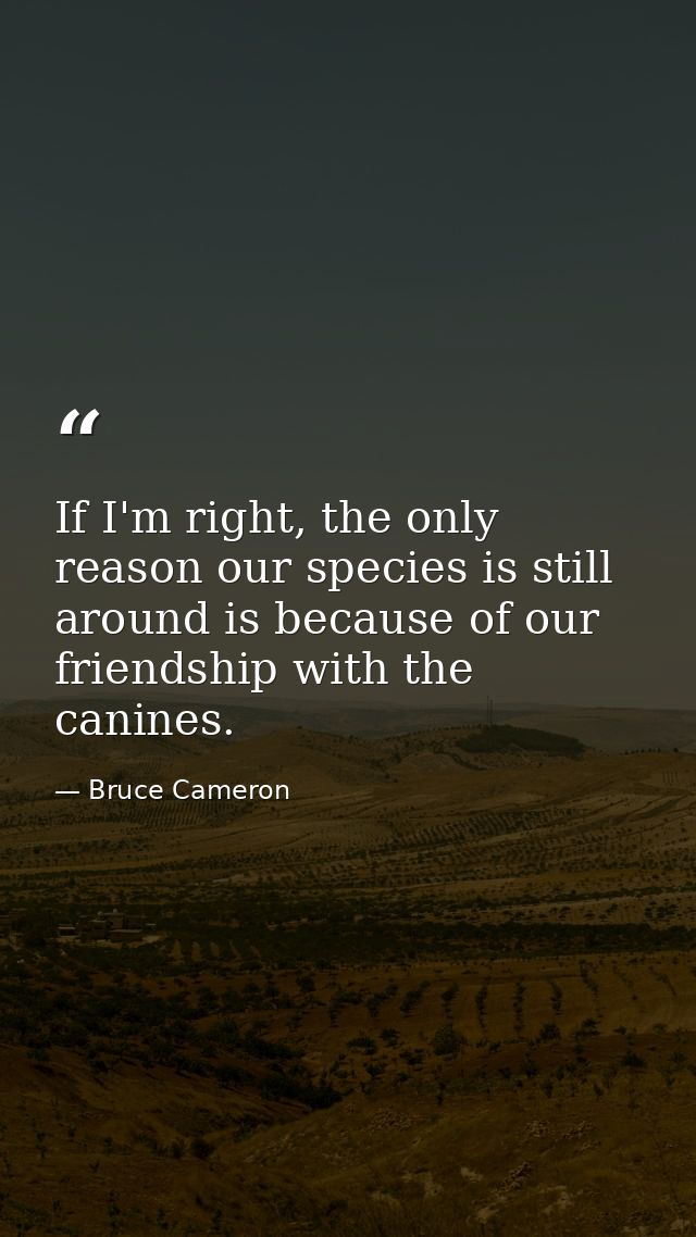 If I'm right, the only reason our species is still around is because of our friendship with the canines. — Bruce Cameron
