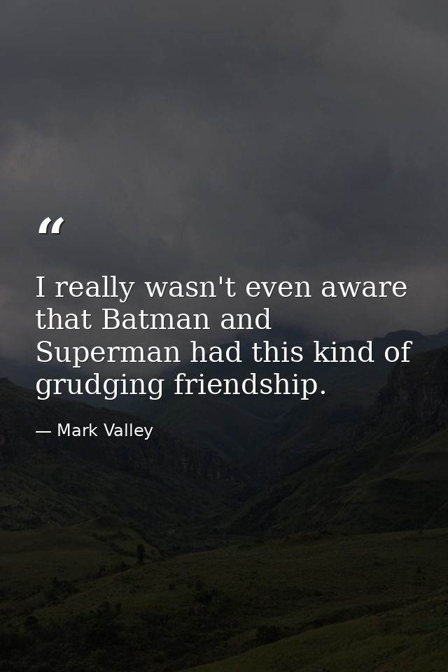 I really wasn't even aware that Batman and Superman had this kind of grudging friendship. — Mark Valley