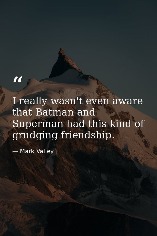 I really wasn't even aware that Batman and Superman had this kind of grudging friendship. — Mark Valley