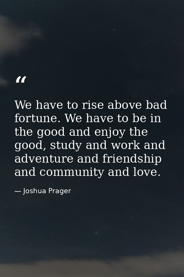 We have to rise above bad fortune. We have to be in the good and enjoy the good, study and work and adventure and friend — Joshua Prager