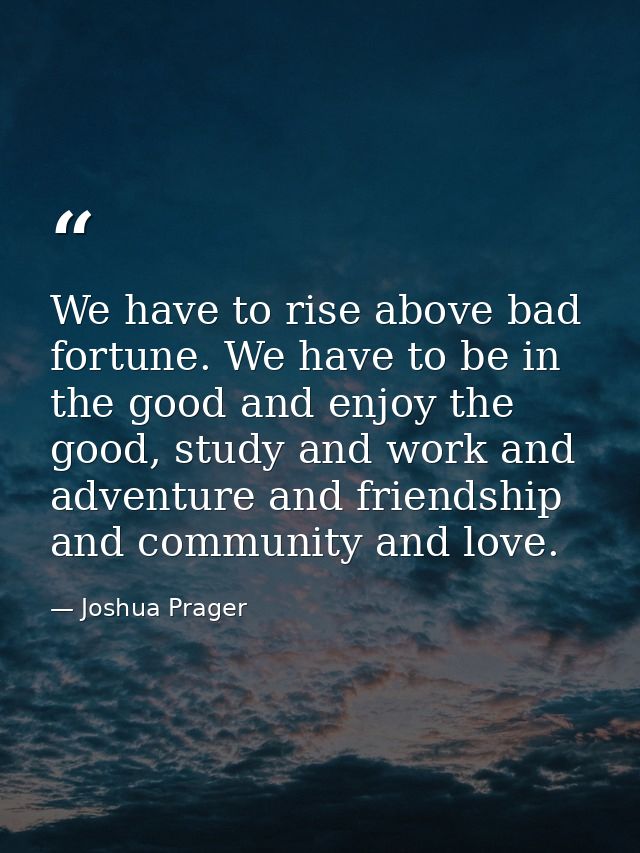 We have to rise above bad fortune. We have to be in the good and enjoy the good, study and work and adventure and friend — Joshua Prager