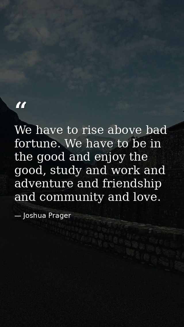 We have to rise above bad fortune. We have to be in the good and enjoy the good, study and work and adventure and friend — Joshua Prager