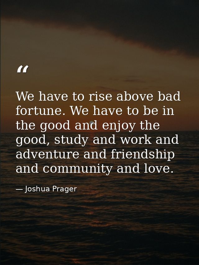 We have to rise above bad fortune. We have to be in the good and enjoy the good, study and work and adventure and friend — Joshua Prager