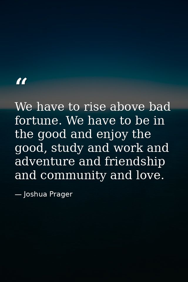 We have to rise above bad fortune. We have to be in the good and enjoy the good, study and work and adventure and friend — Joshua Prager