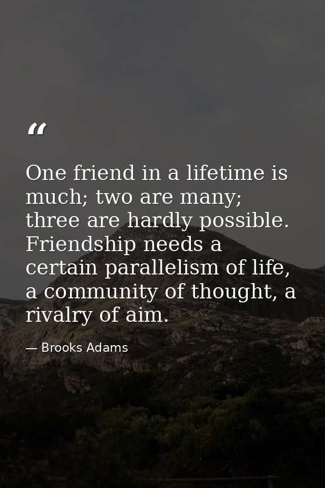 One friend in a lifetime is much; two are many; three are hardly possible. Friendship needs a certain parallelism of lif — Brooks Adams