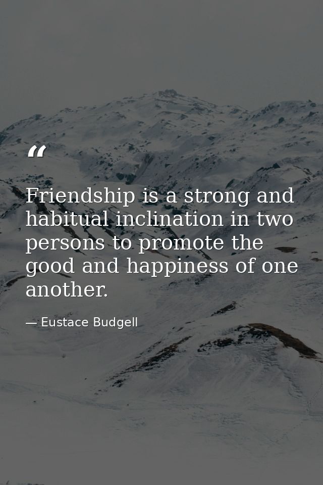 Friendship is a strong and habitual inclination in two persons to promote the good and happiness of one another. — Eustace Budgell