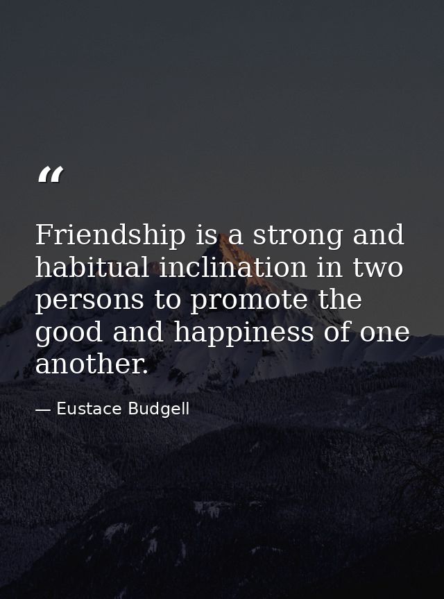 Friendship is a strong and habitual inclination in two persons to promote the good and happiness of one another. — Eustace Budgell