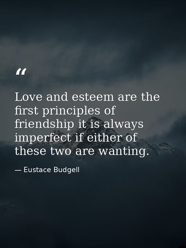 Love and esteem are the first principles of friendship it is always imperfect if either of these two are wanting. — Eustace Budgell