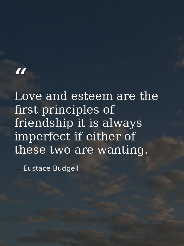 Love and esteem are the first principles of friendship it is always imperfect if either of these two are wanting. — Eustace Budgell