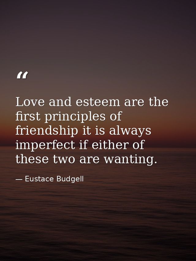 Love and esteem are the first principles of friendship it is always imperfect if either of these two are wanting. — Eustace Budgell