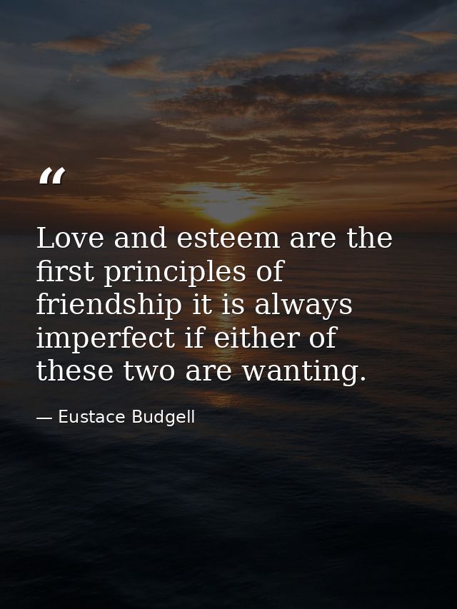 Love and esteem are the first principles of friendship it is always imperfect if either of these two are wanting. — Eustace Budgell