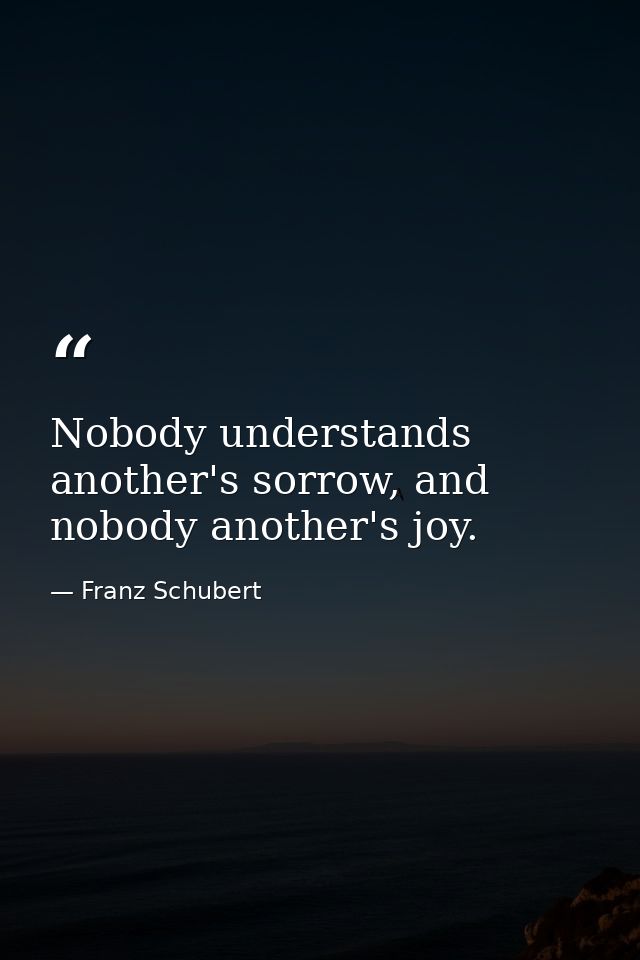 Nobody understands another's sorrow, and nobody another's joy. — Franz Schubert