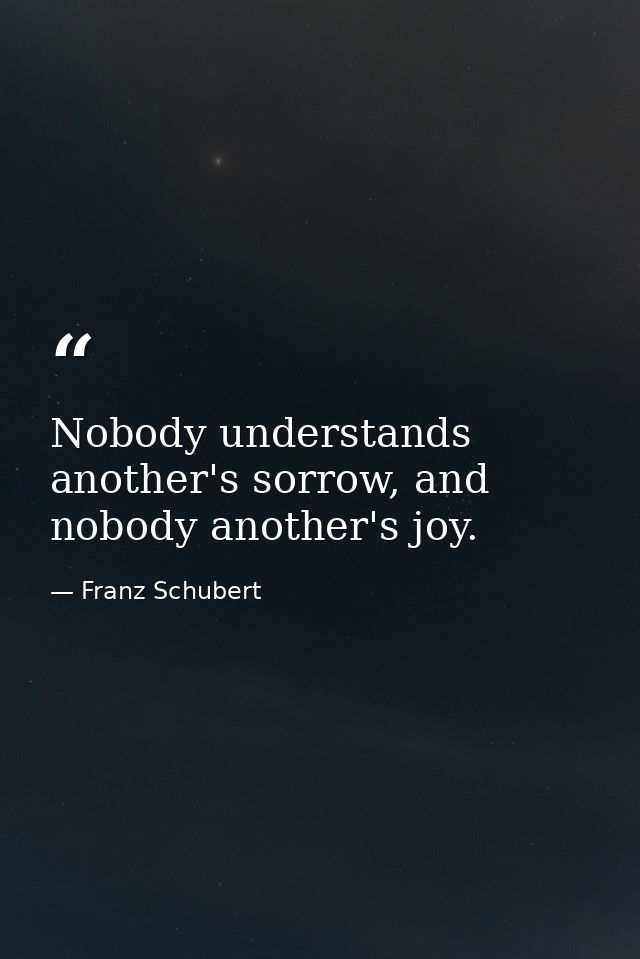 Nobody understands another's sorrow, and nobody another's joy. — Franz Schubert