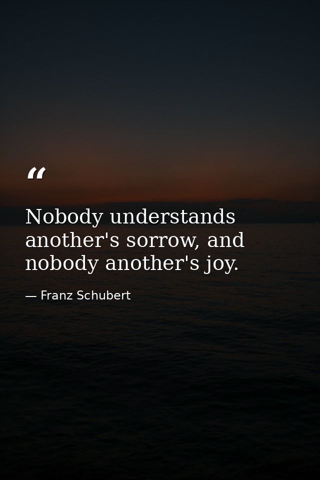 Nobody understands another's sorrow, and nobody another's joy. — Franz Schubert