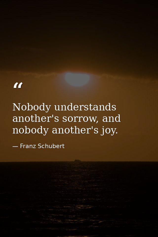 Nobody understands another's sorrow, and nobody another's joy. — Franz Schubert
