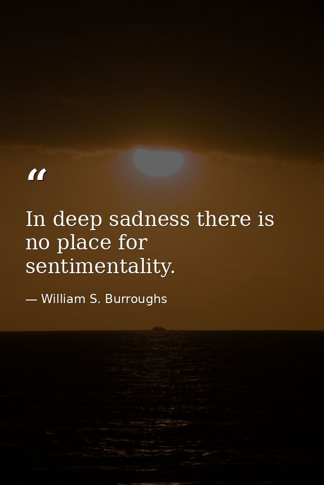 In deep sadness there is no place for sentimentality. — William S. Burroughs