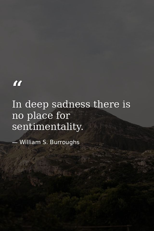 In deep sadness there is no place for sentimentality. — William S. Burroughs