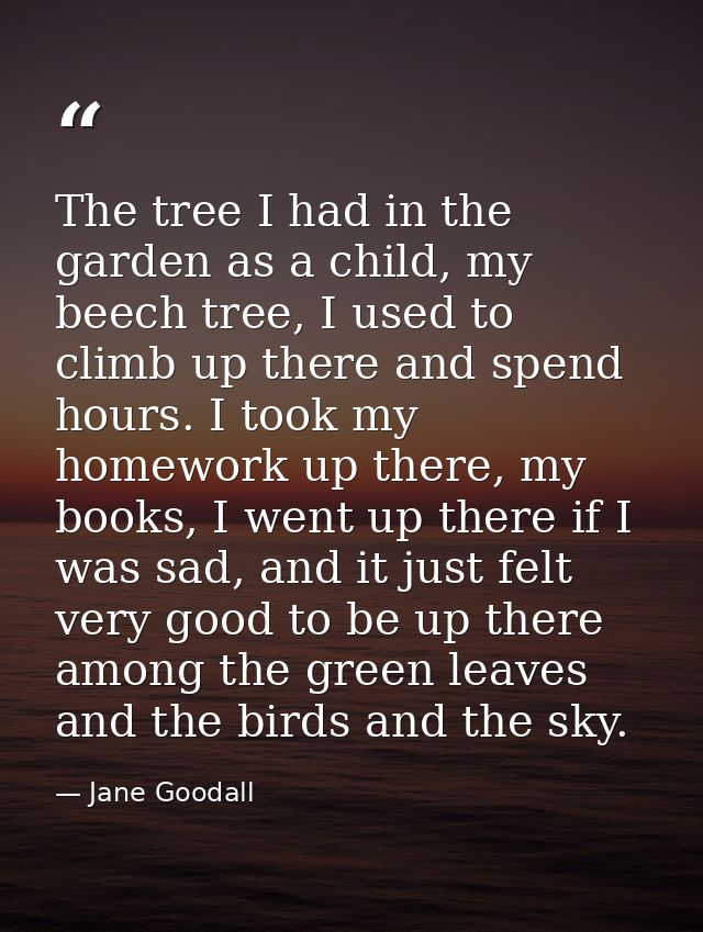 The tree I had in the garden as a child, my beech tree, I used to climb up there and spend hours. I took my homework up  — Jane Goodall