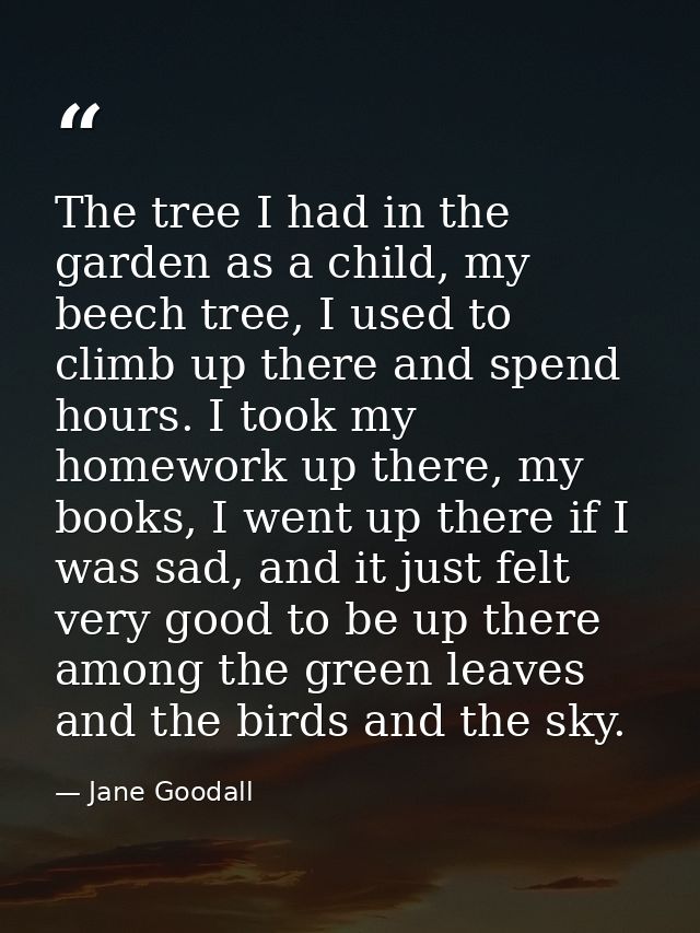 The tree I had in the garden as a child, my beech tree, I used to climb up there and spend hours. I took my homework up  — Jane Goodall
