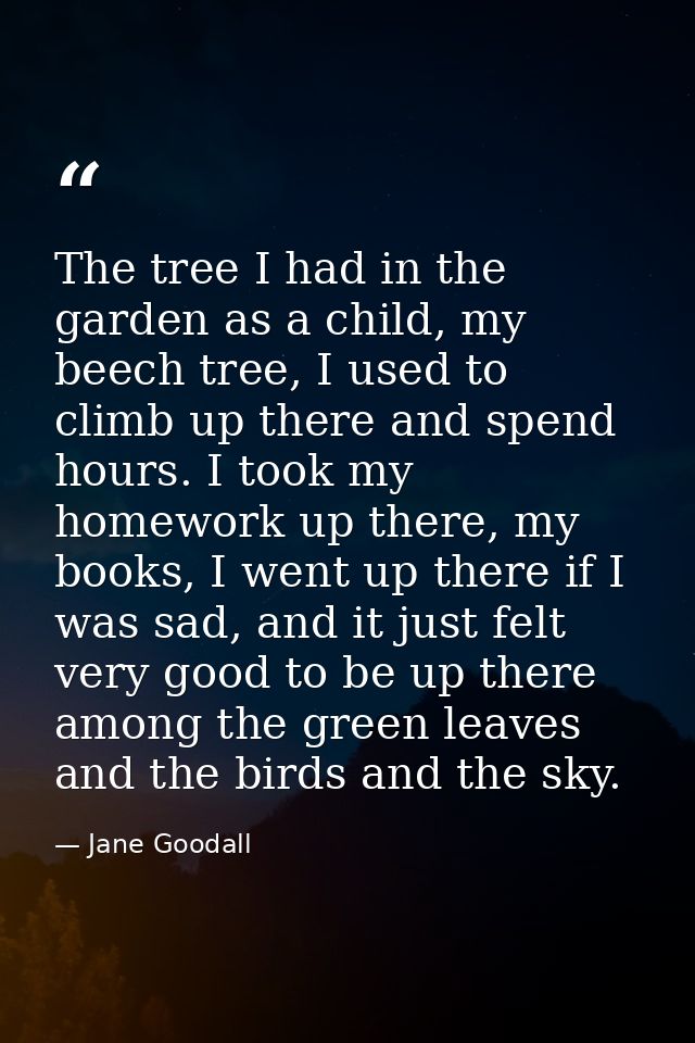 The tree I had in the garden as a child, my beech tree, I used to climb up there and spend hours. I took my homework up  — Jane Goodall