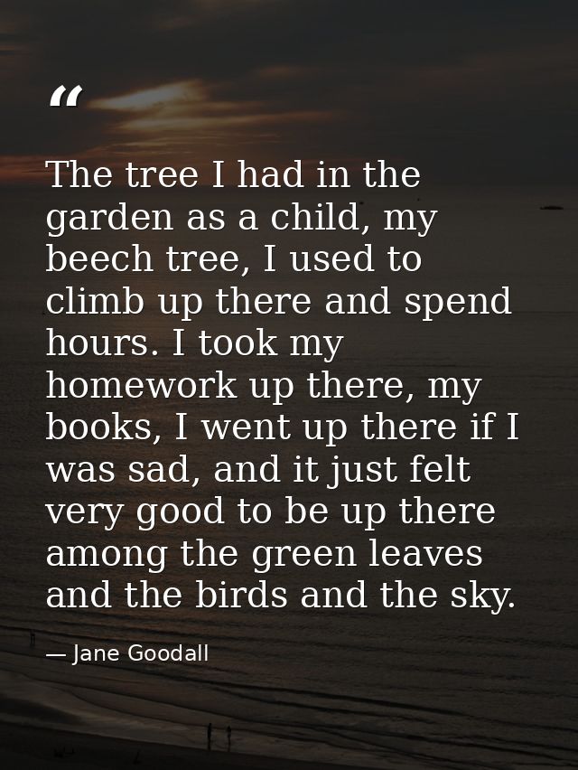 The tree I had in the garden as a child, my beech tree, I used to climb up there and spend hours. I took my homework up  — Jane Goodall