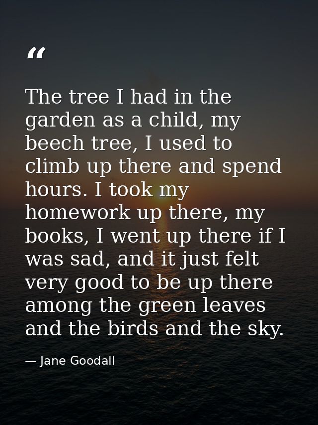 The tree I had in the garden as a child, my beech tree, I used to climb up there and spend hours. I took my homework up  — Jane Goodall