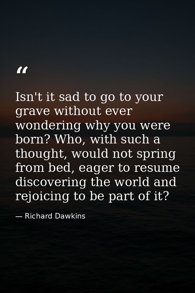 Isn't it sad to go to your grave without ever wondering why you were born? Who, with such a thought, would not spring fr — Richard Dawkins
