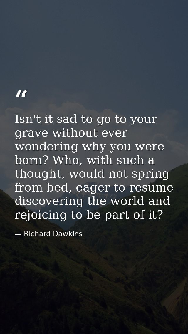 Isn't it sad to go to your grave without ever wondering why you were born? Who, with such a thought, would not spring fr — Richard Dawkins