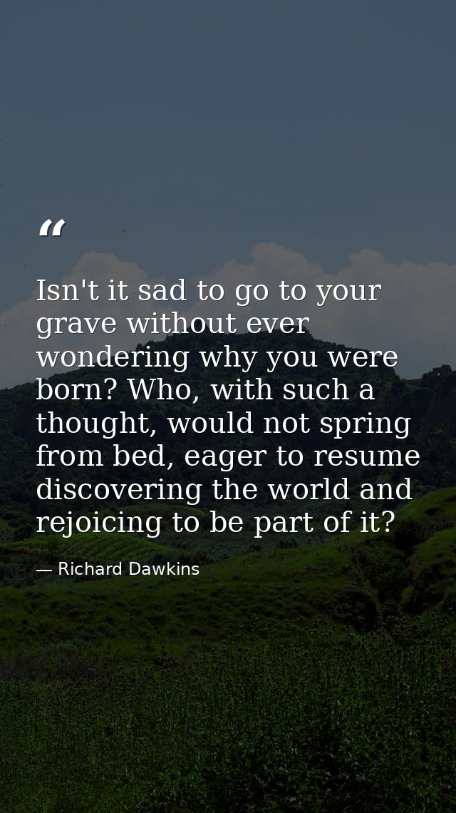 Isn't it sad to go to your grave without ever wondering why you were born? Who, with such a thought, would not spring fr — Richard Dawkins