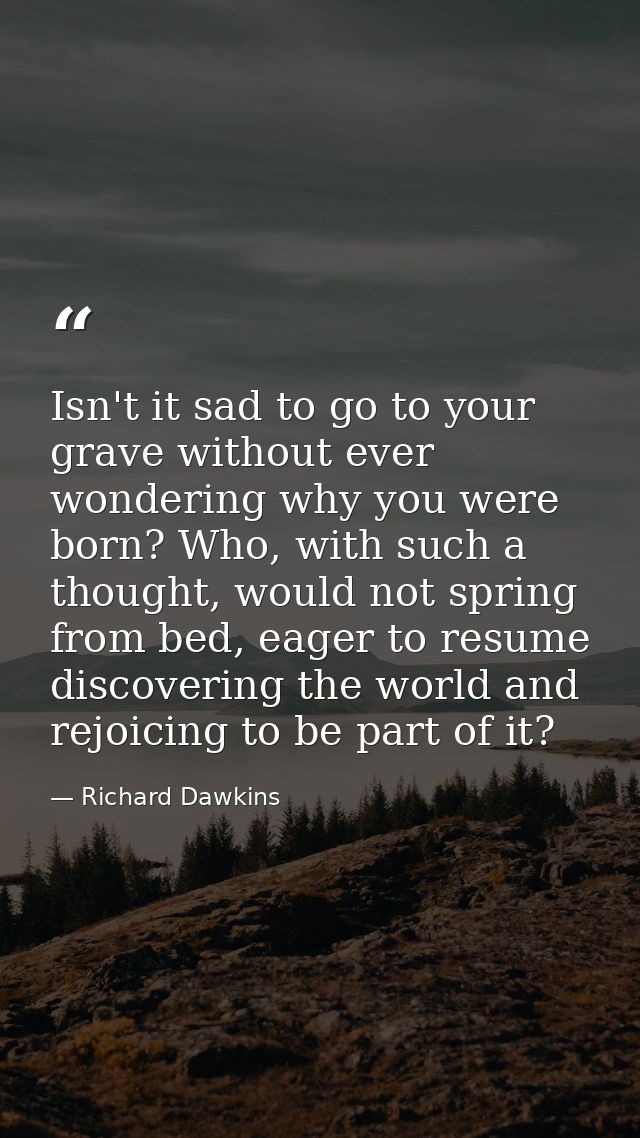 Isn't it sad to go to your grave without ever wondering why you were born? Who, with such a thought, would not spring fr — Richard Dawkins