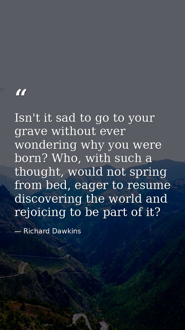 Isn't it sad to go to your grave without ever wondering why you were born? Who, with such a thought, would not spring fr — Richard Dawkins