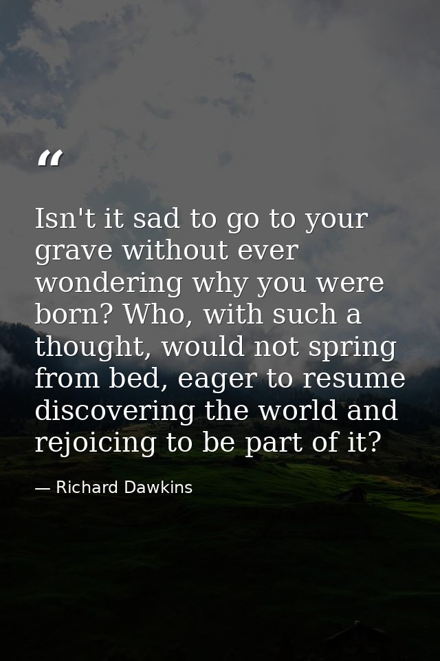 Isn't it sad to go to your grave without ever wondering why you were born? Who, with such a thought, would not spring fr — Richard Dawkins