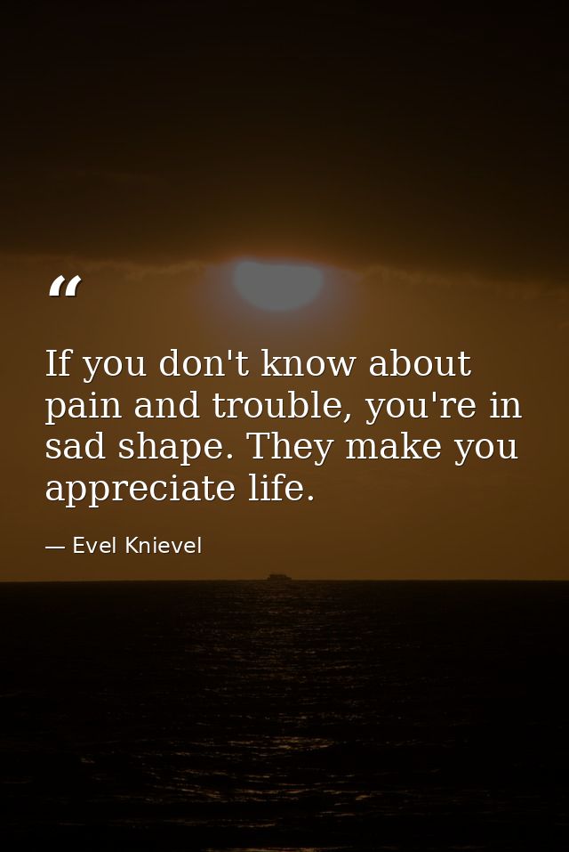 If you don't know about pain and trouble, you're in sad shape. They make you appreciate life. — Evel Knievel