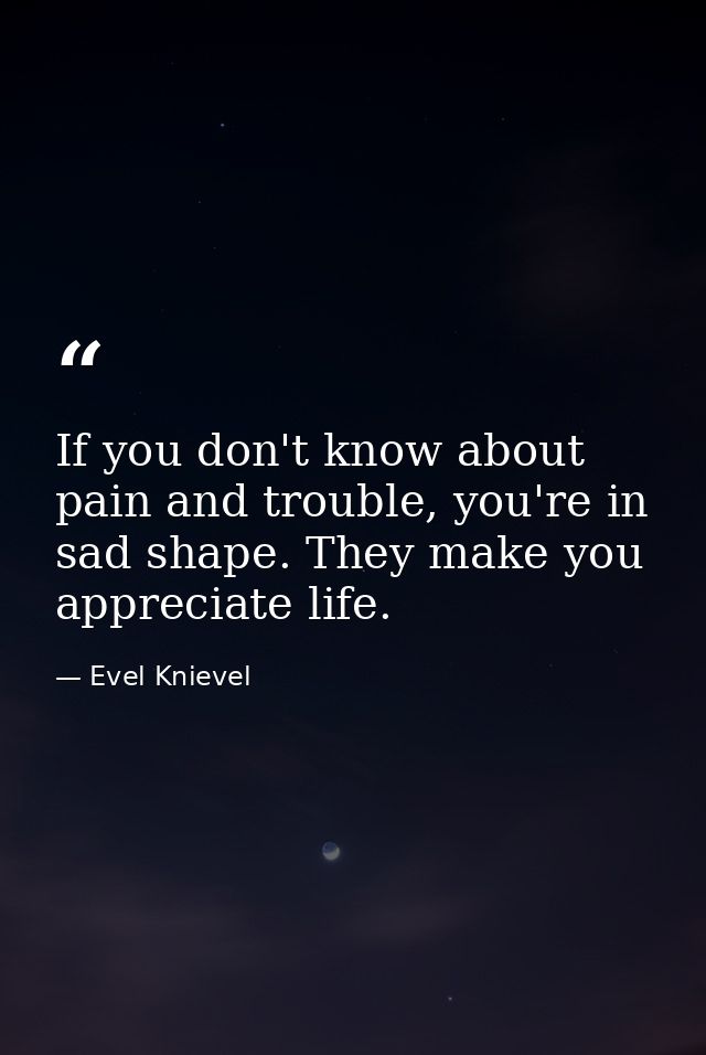 If you don't know about pain and trouble, you're in sad shape. They make you appreciate life. — Evel Knievel