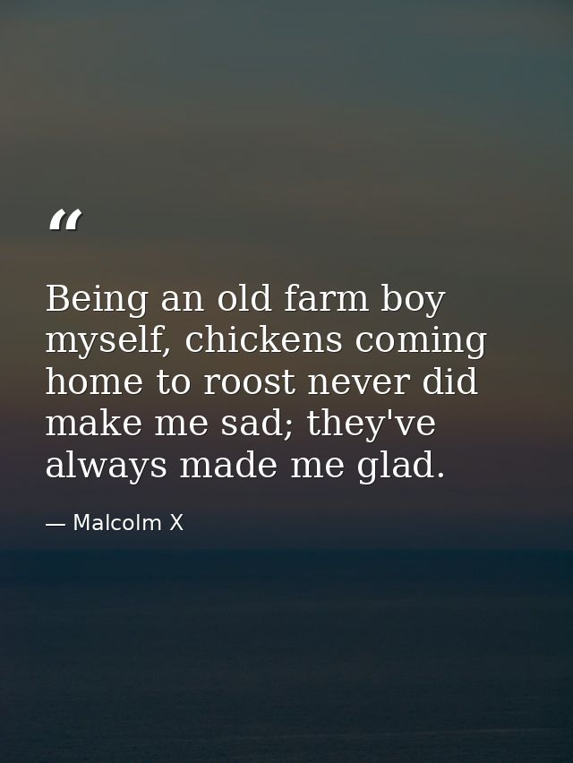 Being an old farm boy myself, chickens coming home to roost never did make me sad; they've always made me glad. — Malcolm X