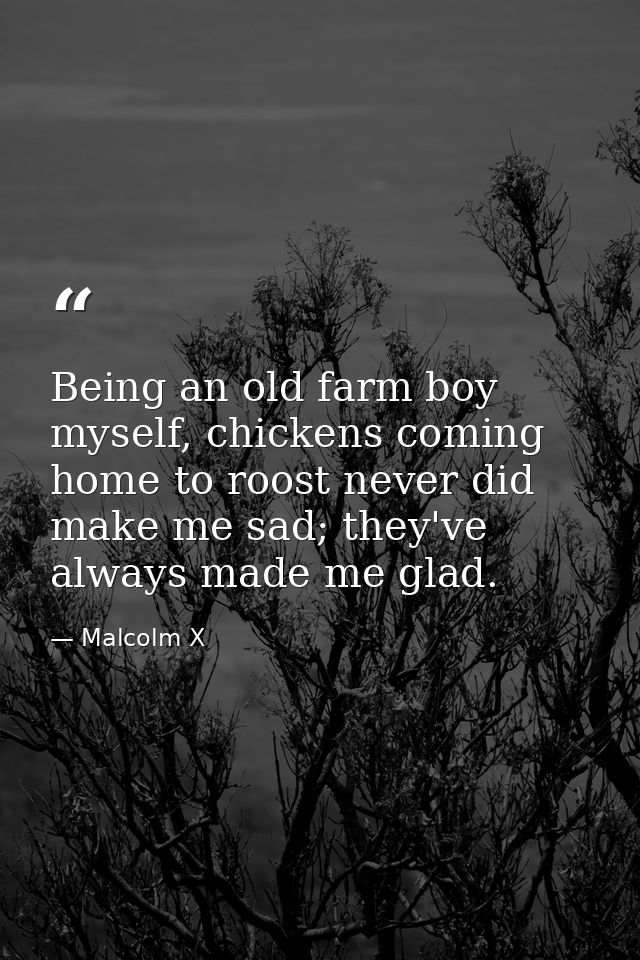 Being an old farm boy myself, chickens coming home to roost never did make me sad; they've always made me glad. — Malcolm X