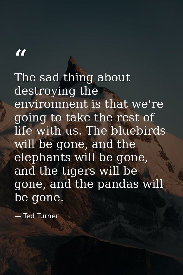 The sad thing about destroying the environment is that we're going to take the rest of life with us. The bluebirds will  — Ted Turner