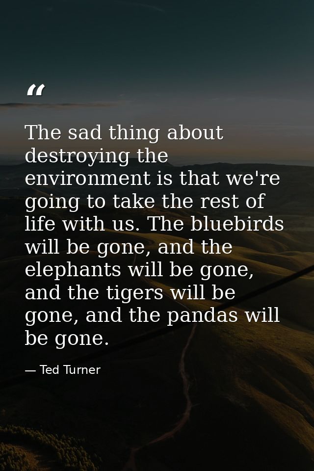The sad thing about destroying the environment is that we're going to take the rest of life with us. The bluebirds will  — Ted Turner