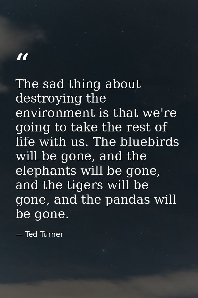 The sad thing about destroying the environment is that we're going to take the rest of life with us. The bluebirds will  — Ted Turner