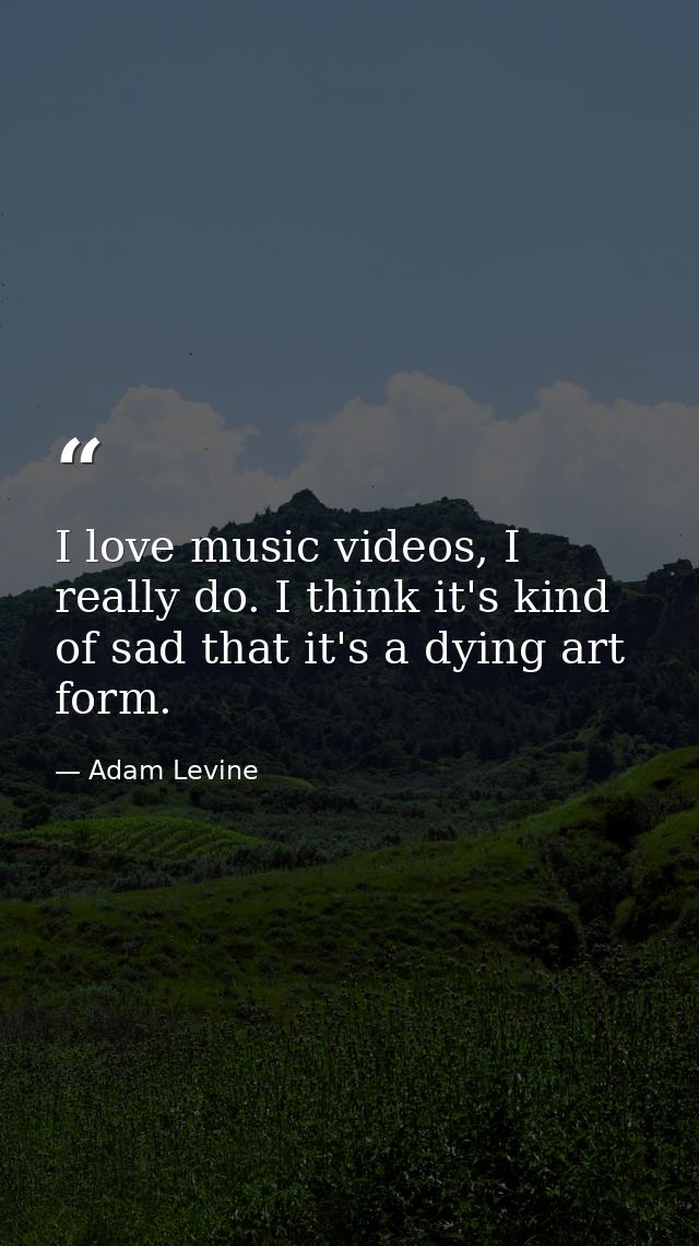 I love music videos, I really do. I think it's kind of sad that it's a dying art form. — Adam Levine