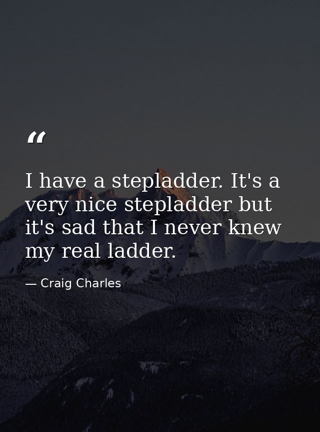 I have a stepladder. It's a very nice stepladder but it's sad that I never knew my real ladder. — Craig Charles